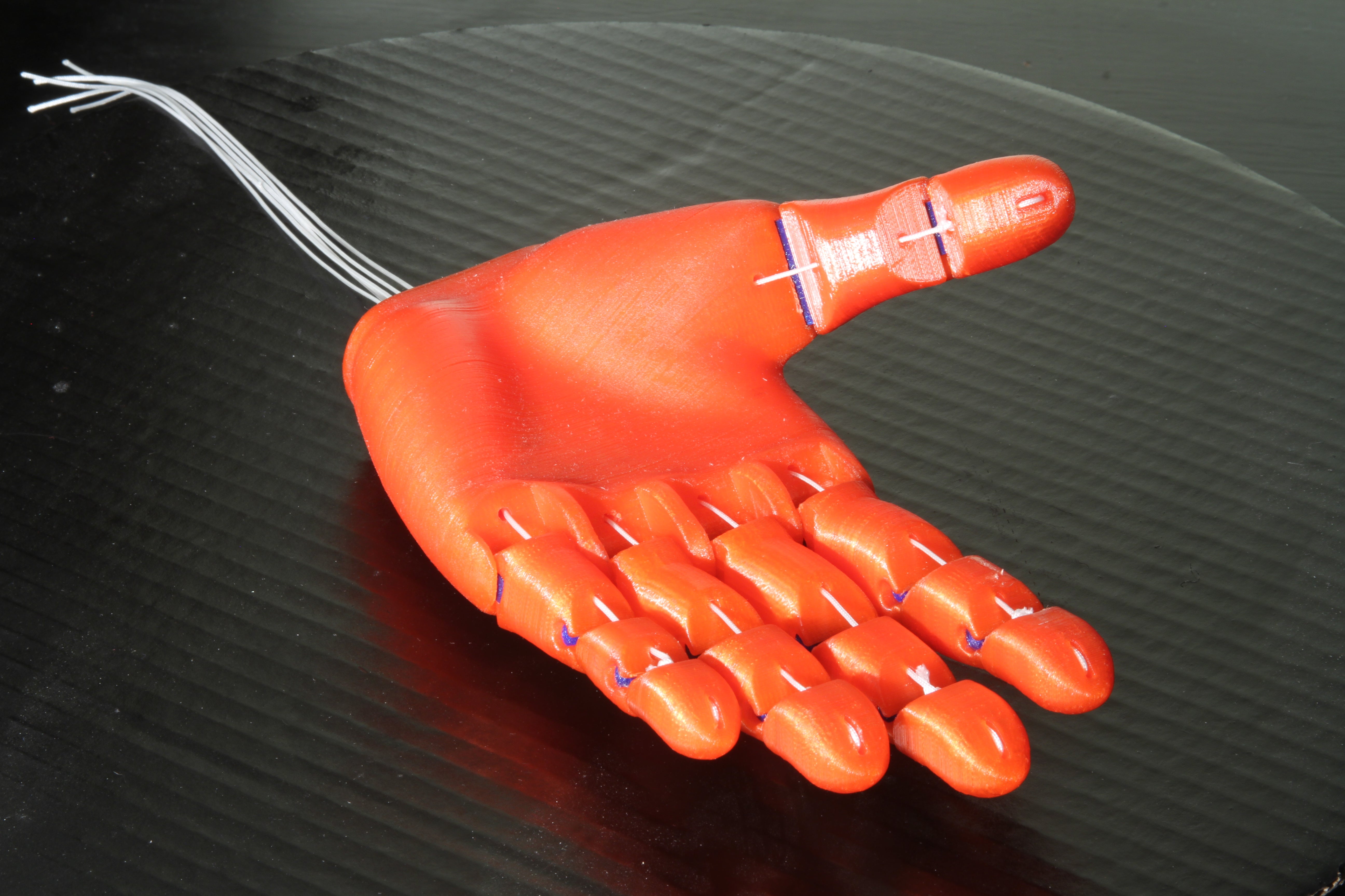 The FlexyHand 3D Printed Prosthesis (Proof of Concept)